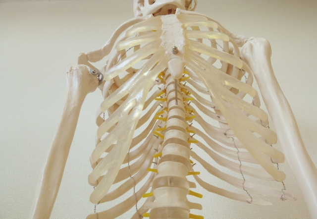 肋骨の異常　パーソナルトレーニングジムKenz