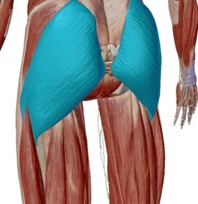 大臀筋のストレッチ＆トレーニング　パーソナルトレーニングジムKenz