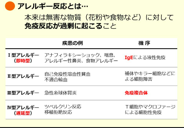 腸内環境について  〜食物アレルギーが起こる理由 〜パート２〜 　パーソナルトレーニングジム kenz
