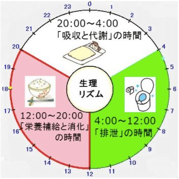 腸内環境について  〜酵素について part 4〜 　パーソナルトレーニングジム kenz