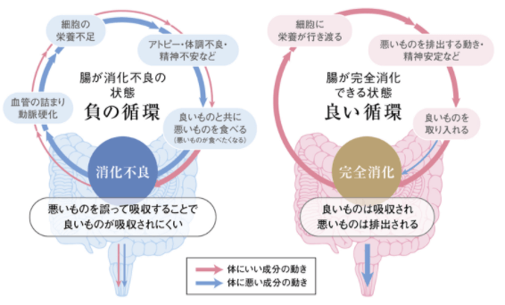 『 美と健康を作る！完全消化の極意とは？！  』パーソナルトレーニングジム kenz