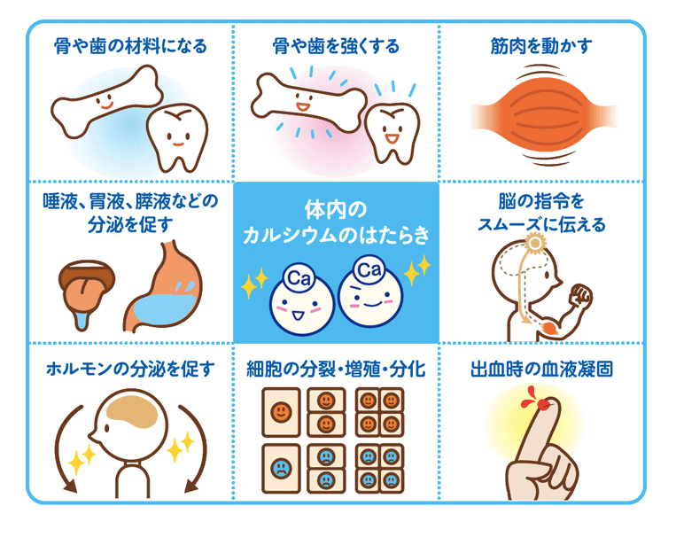 『 必須ミネラル〜カルシウム〜について』〜パーソナルトレーニングジム  kenz 〜