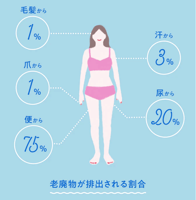 『 肝臓と腎臓を大切にしよう！！』 〜パーソナルトレーニングジム  kenz 〜